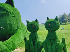 -秦皇岛阿尔卡迪亚滨海度假酒店