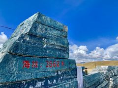 -郭莽湿地