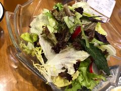 -巴依老爷新疆美食(望京小街店)