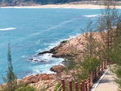 -广东惠东海龟国家级自然保护区