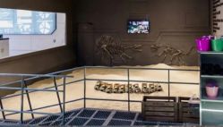 -恐龙探索乐园(磁器口店)