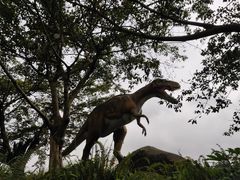 -自贡恐龙博物馆