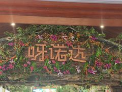 -呀诺达热带雨林