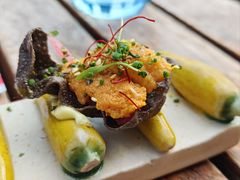 -TOMATITO(无限极荟店)