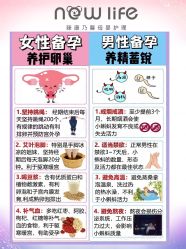 -臻康乃馨月子中心(集美店)