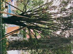 -杭州宋城