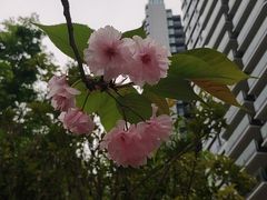 -袁记串串香(新南门店)