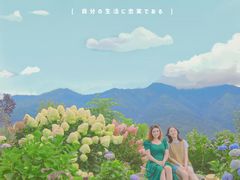 -猫米花园