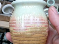 -龙大花卉苗木市场