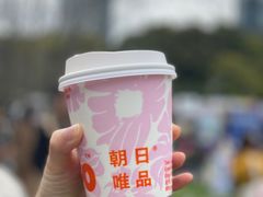 -陆家嘴中心绿地