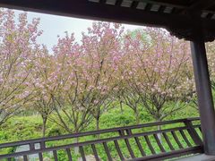 -游子山休闲旅游区