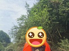 -千岛湖王子谷漂流