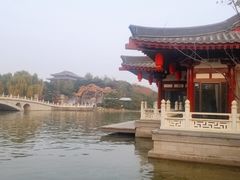 -唐御宴•御宴宫•唐代菜点(芙蓉西路店)