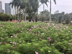 -万绿园
