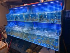 水产区-吉源大排档·鱼生·海鲜(烧烤彩印厂店)