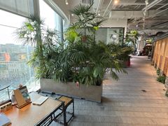 -大视光学•LINDBERG林德伯格•全球手工眼镜集合店(王府井店)