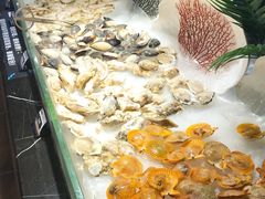 -韩盛炭火烤肉(万达广场店)