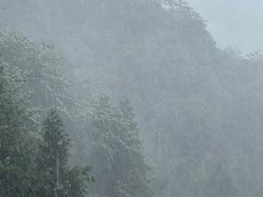-东天目山风景区