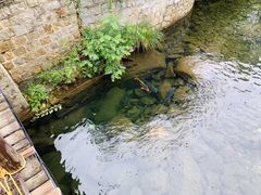 -无染寺