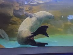 -常州海昌海洋探索馆
