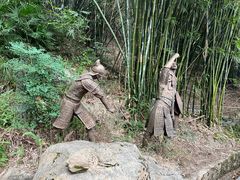 -铁山坪森林公园