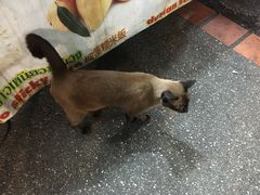 -芒果糯米饭摊子