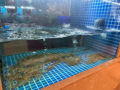-花中城·杭帮菜·粤菜·海鲜火锅(清泰街店)