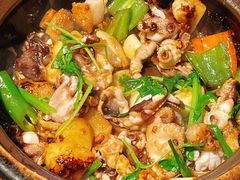 生啫八爪鱼-啫神·广州地标美食(北京路店)