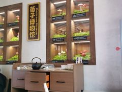-菌自由丨野生菌火锅特色庭院餐厅(丽江古城店)