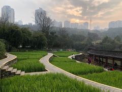 -龙头寺公园