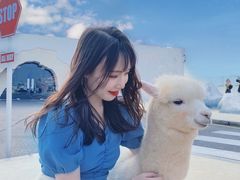 -Blue Concept Cafe&Farm·關於藍