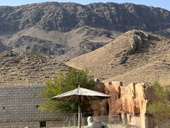 -新疆天山野生动物园