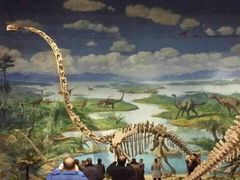 iphone_upload_pic-自贡恐龙博物馆