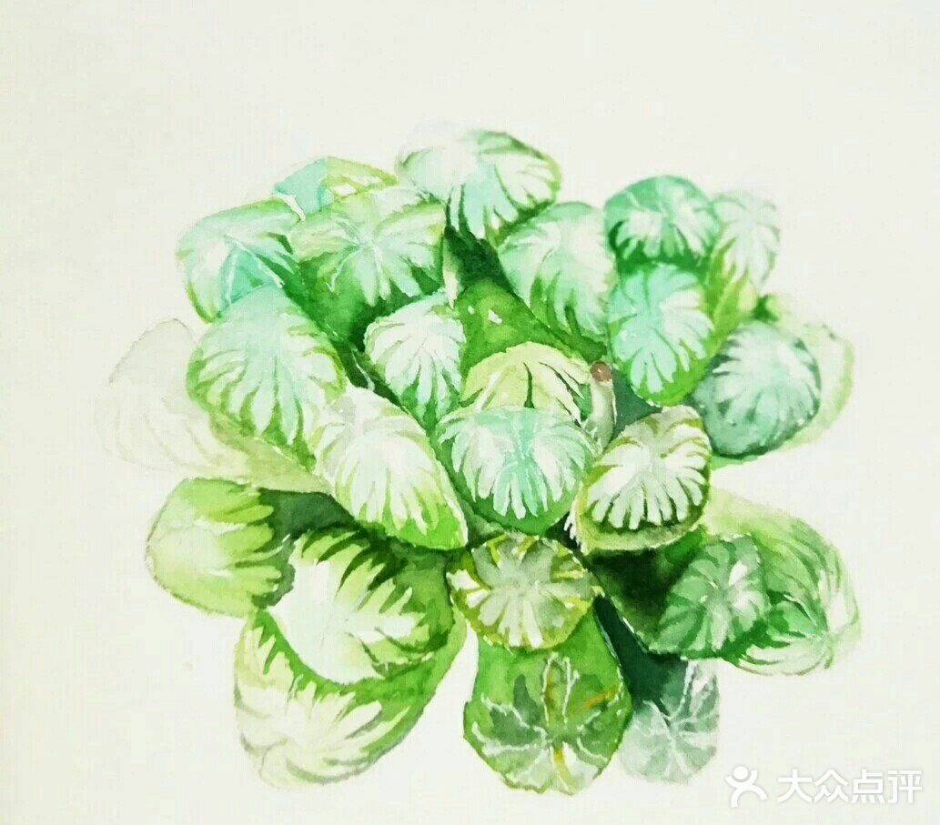 从养多肉到画多肉，生活越来越有趣啦[胜利]