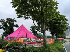 -光明小镇欢乐田园