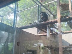 -合肥野生动物园
