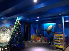 -船奇蒸汽海鲜·闽菜(八市海鲜总店)