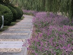 -上海鲜花港