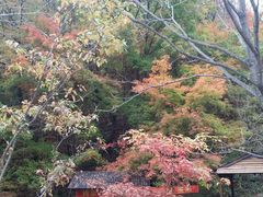 -天女山森林公园