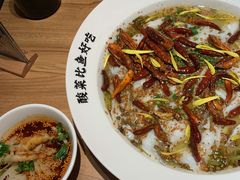 -太二酸菜鱼(汕头苏宁广场店)