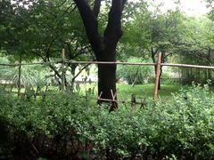 -复旦大学附属华山医院(江苏路分部)