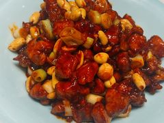 -新侨小馆(东直门北小街店)