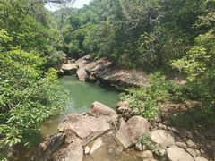 -广州白江湖森林公园