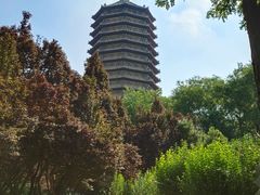-玲珑塔公园