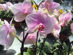 -南通洲际绿博园