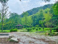 -素山寺森林公园