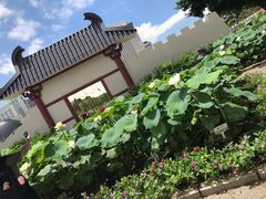 -龙环葡韵住宅式博物馆