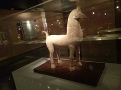-四川宋瓷博物馆