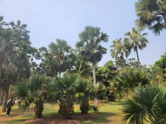 -中国科学院西双版纳热带植物园