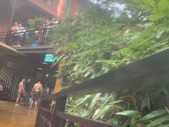 -将军关探险漂流